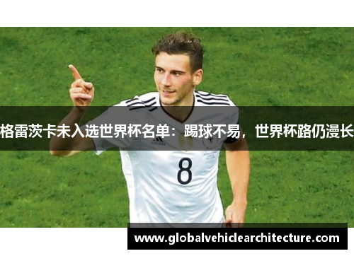 格雷茨卡未入选世界杯名单：踢球不易，世界杯路仍漫长